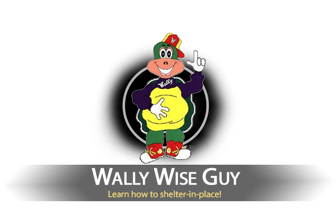 Wally Wise Guy